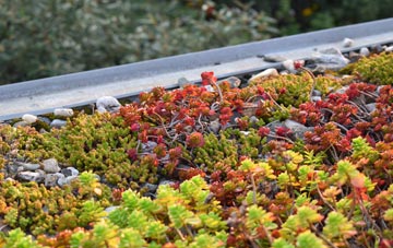the cost of Spittal green roof installation