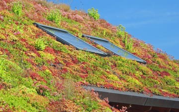 Spittal living roof systems