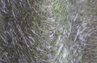 Spittal fibreglass roof work